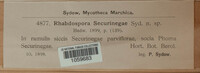 Image Associated With the Occurence